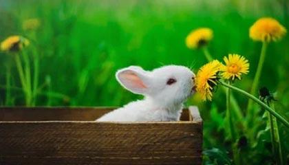 黔东伴游，定制QQ：3494206190微信：act1322